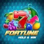 Fortune Hold and Win screenshot